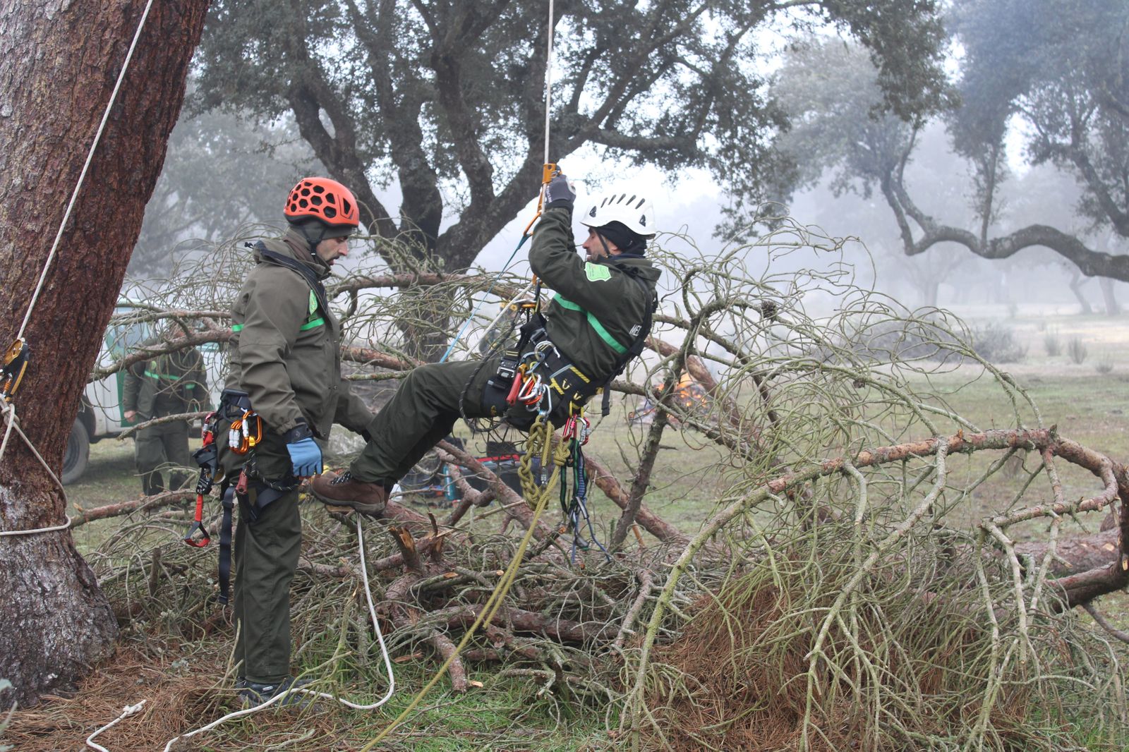 grupo-de-intervenciones-en-altura-agentes-medioambientales-reparacion-nido-cigueena-negra-en-espeja-79