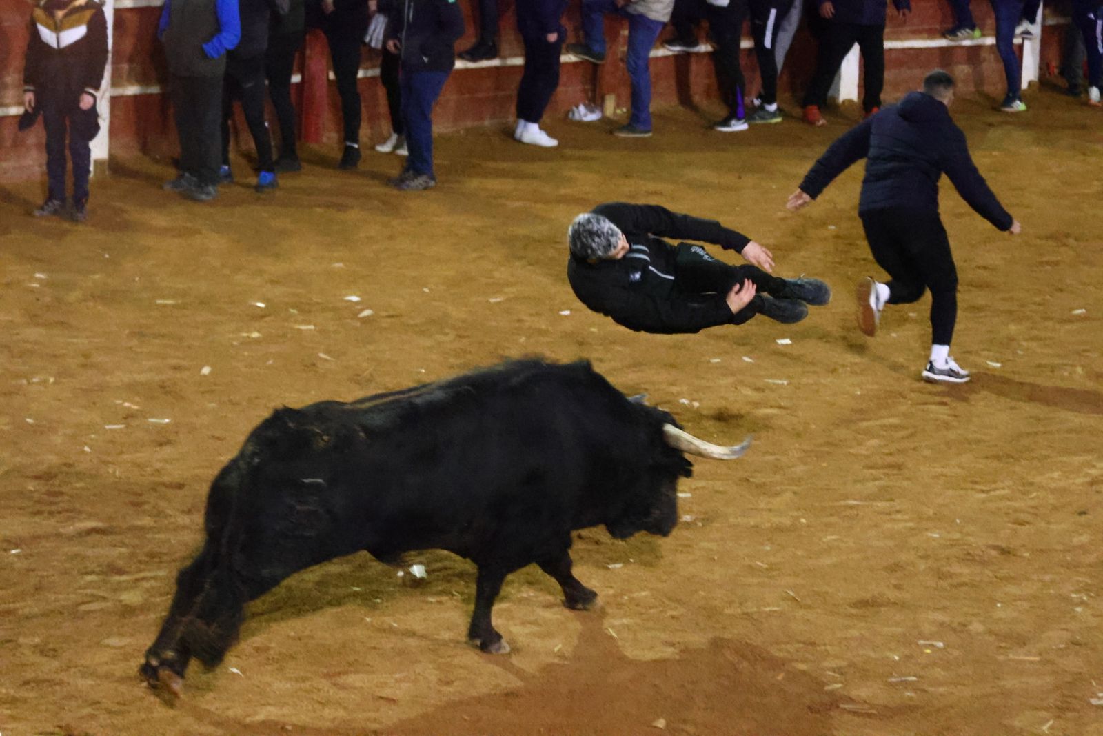 Dos toros de Brazuelas para el arranque del martes, el último día del Carnaval del Toro