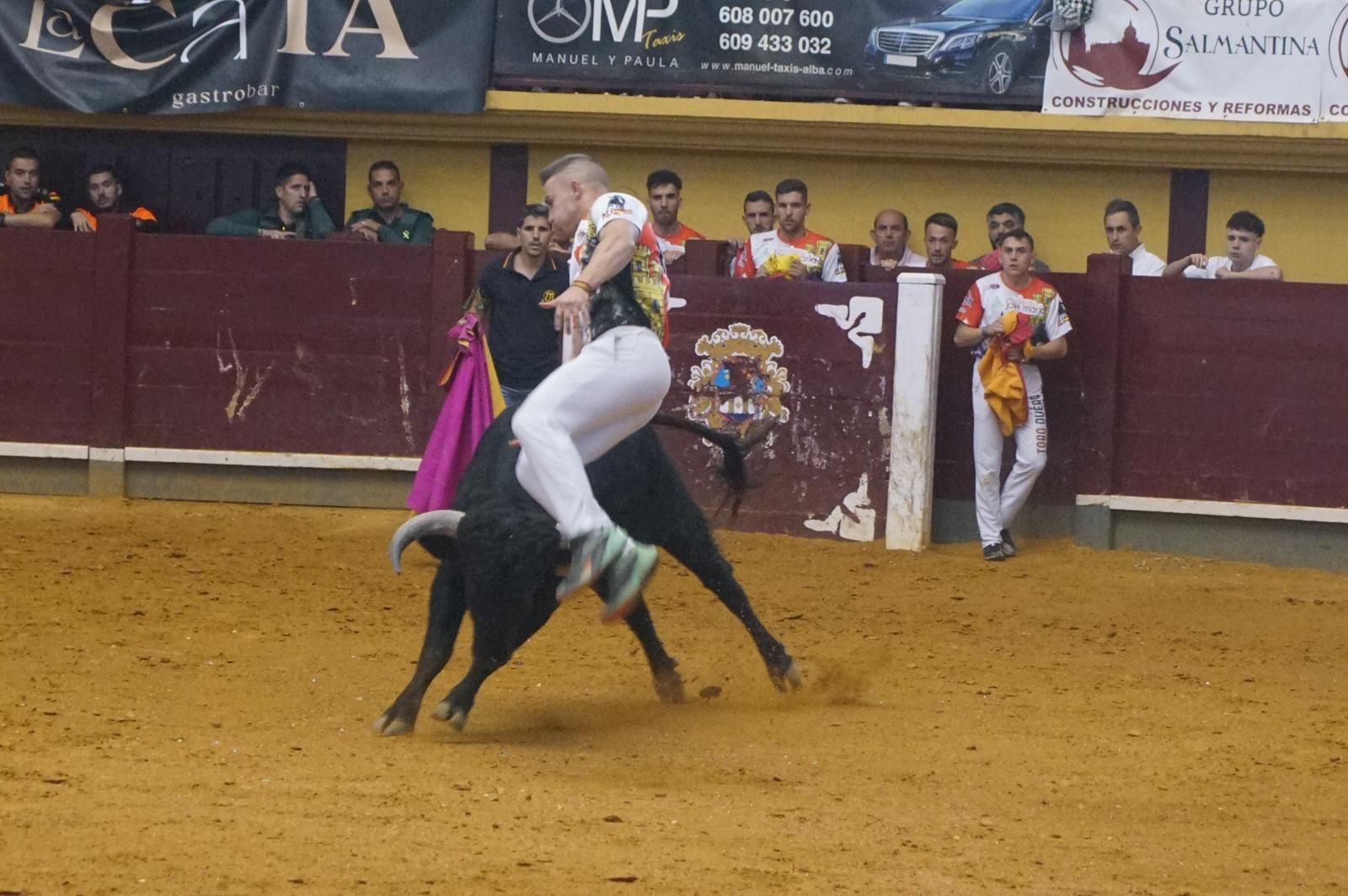 Alba de Tormes celebra un nuevo concurso de cortes