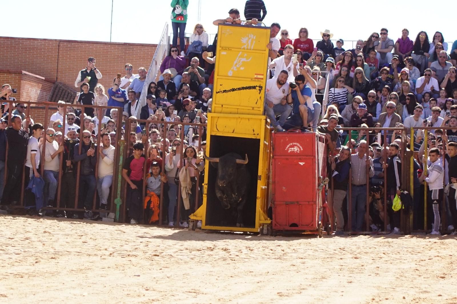 whatsapp-image-2025-04-26-at-19-02-01