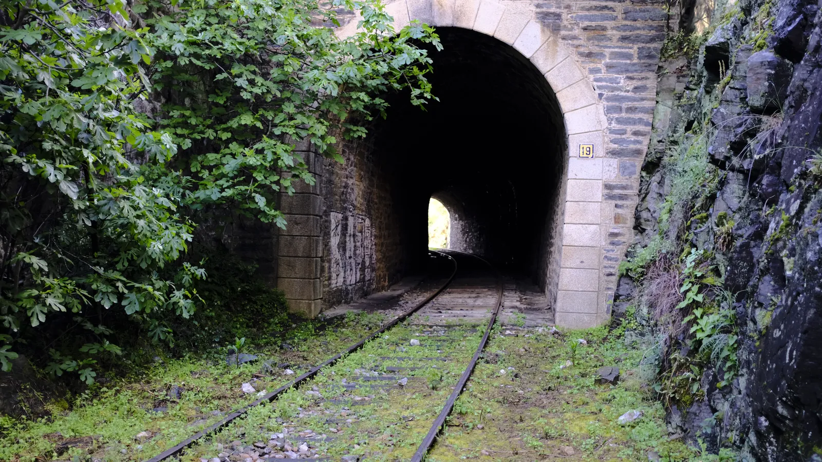 Imágen de la noticia