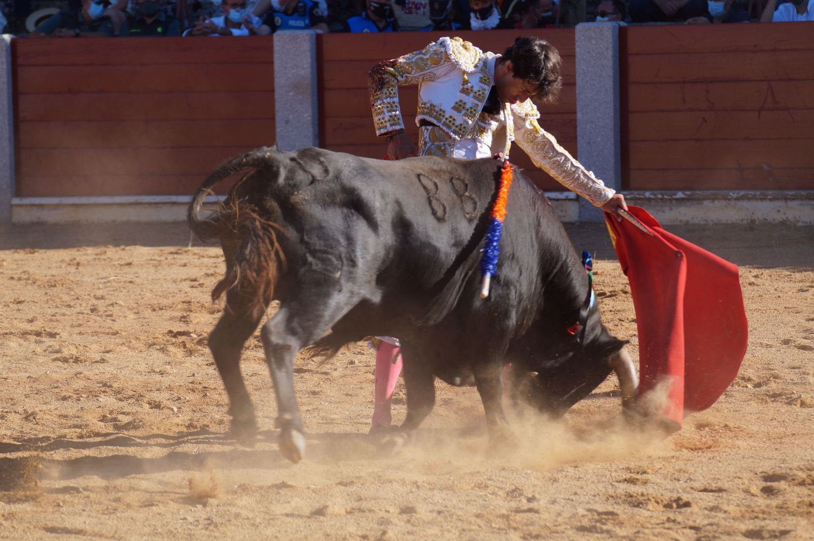 corrida-de-toros-en-guijuelo-23