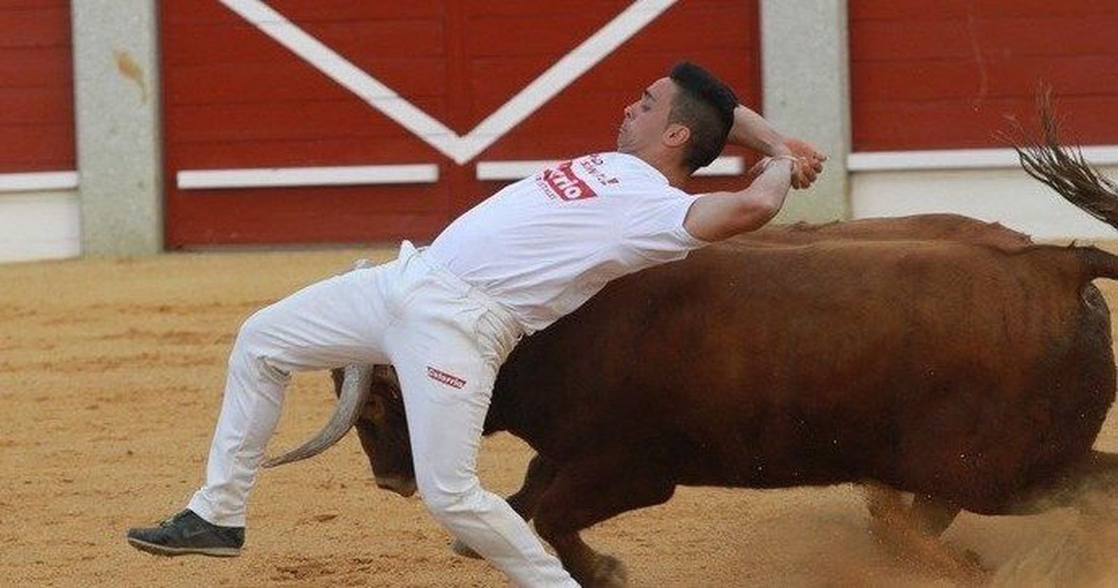 Final del Primer Campeonato Regional de Cortes de Castilla y León