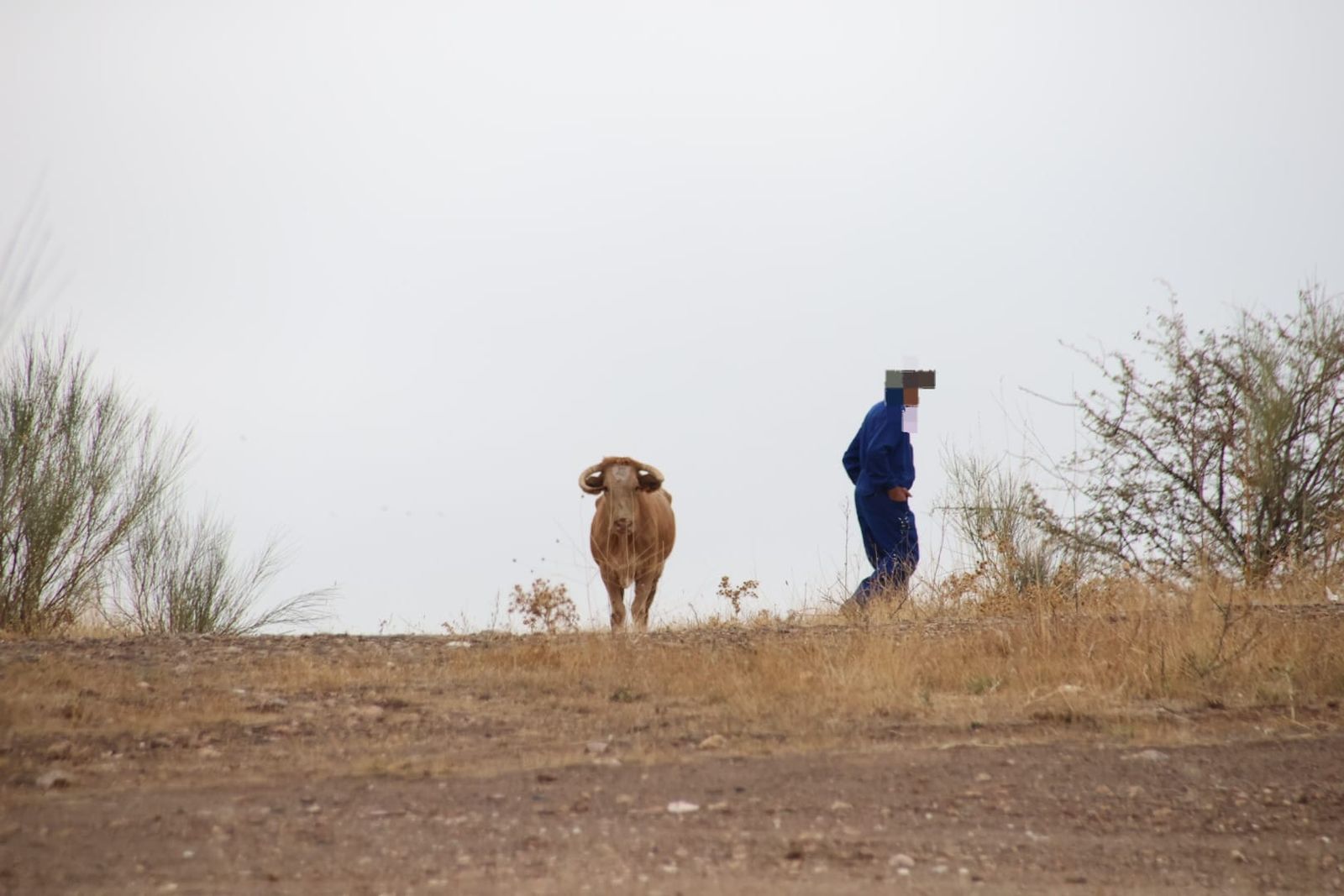 7ff10246-bd44-48d1-b0b1-1646f9fafd7f