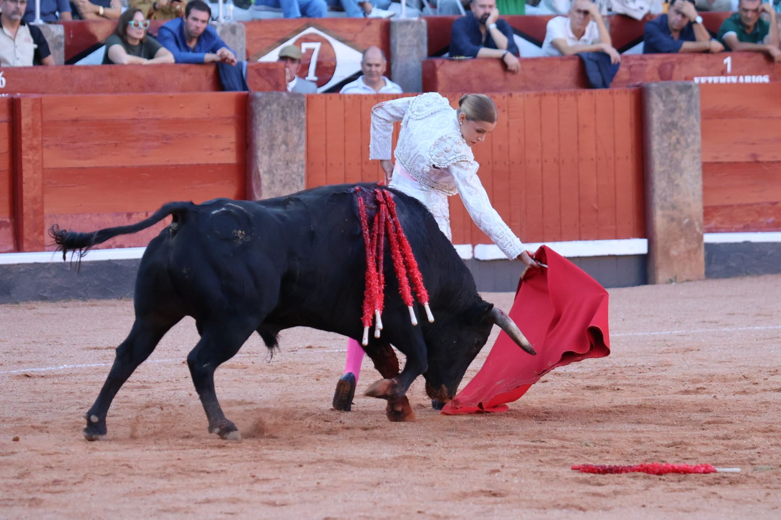 La Glorieta revive el aroma de la feria taurina con el primer festejo: Lea Vicens, Raquel Martín y Olga Casado
