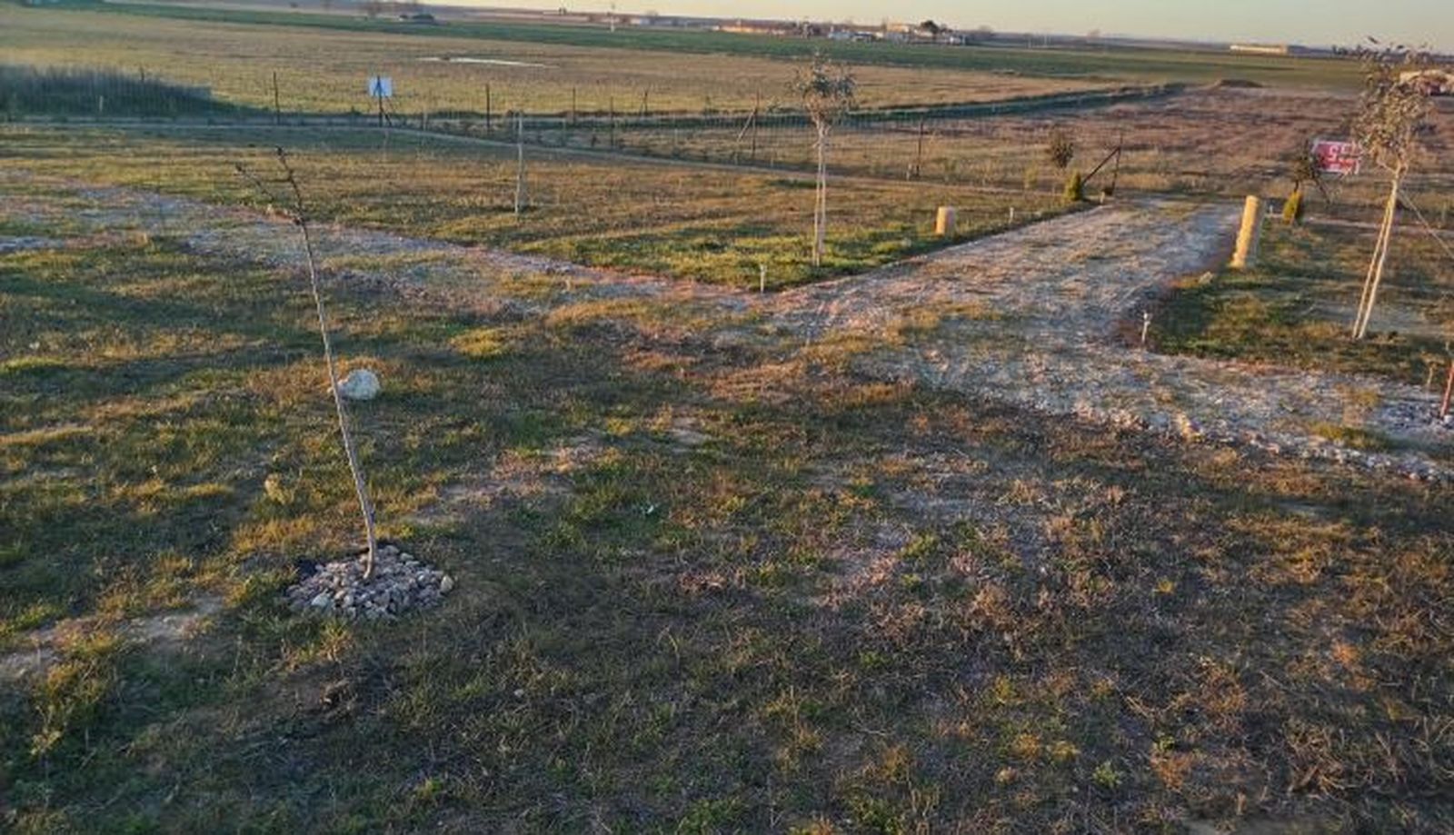 Espacio con árboles dedicado al cementerio de mascotas y zona de paseo.