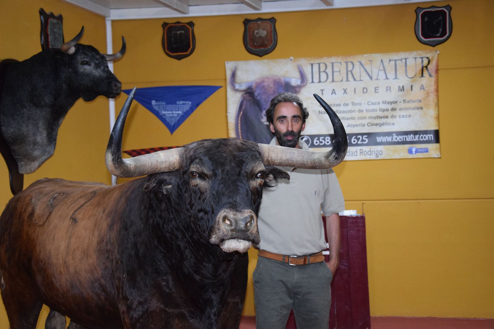 taxidermia-en-salamanca-20