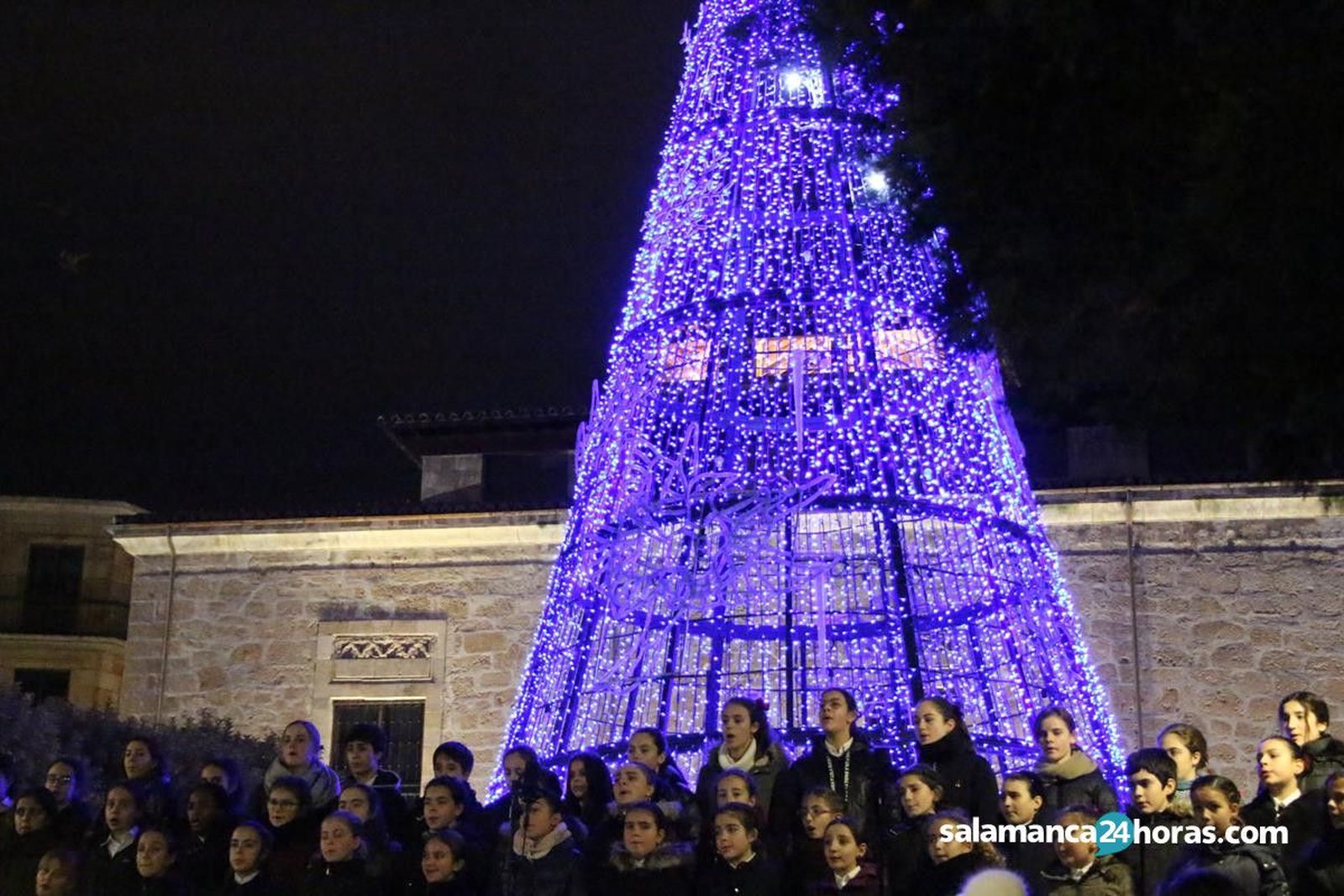 Alumbrado 2019 (58) (Copy)