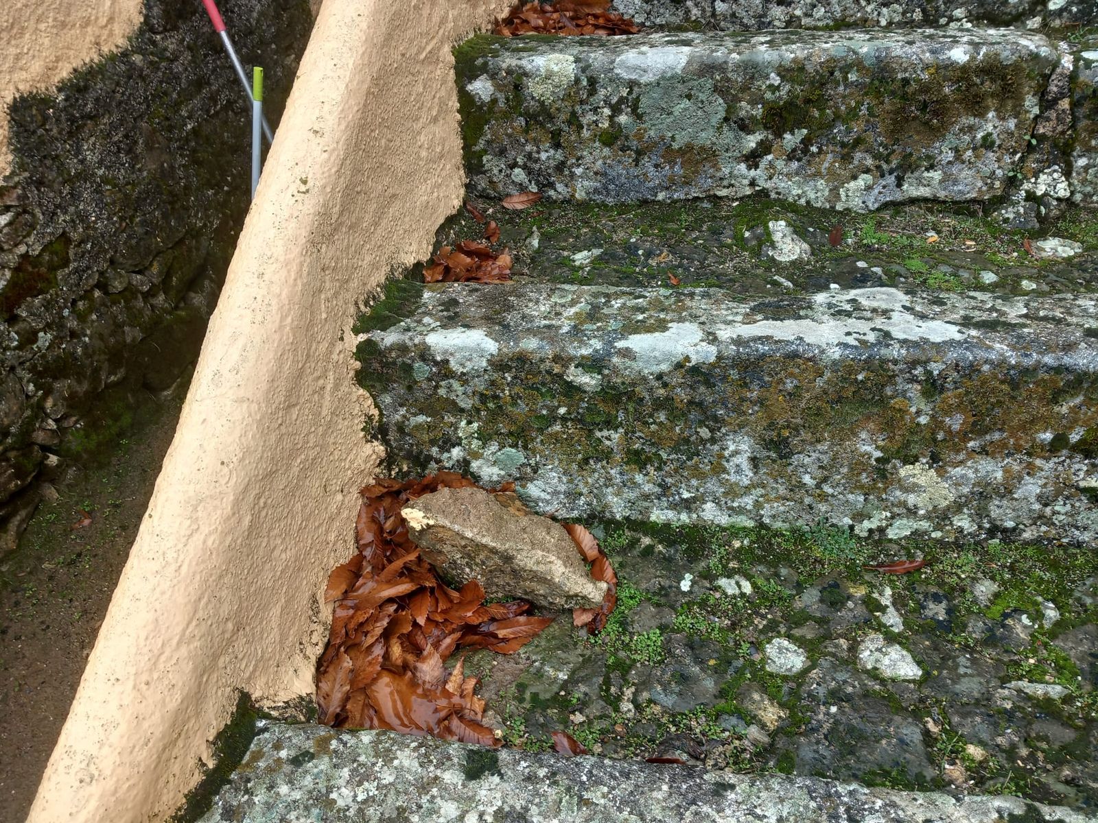 Plaza de Toros La Ancianita de Béjar  (27).jpeg