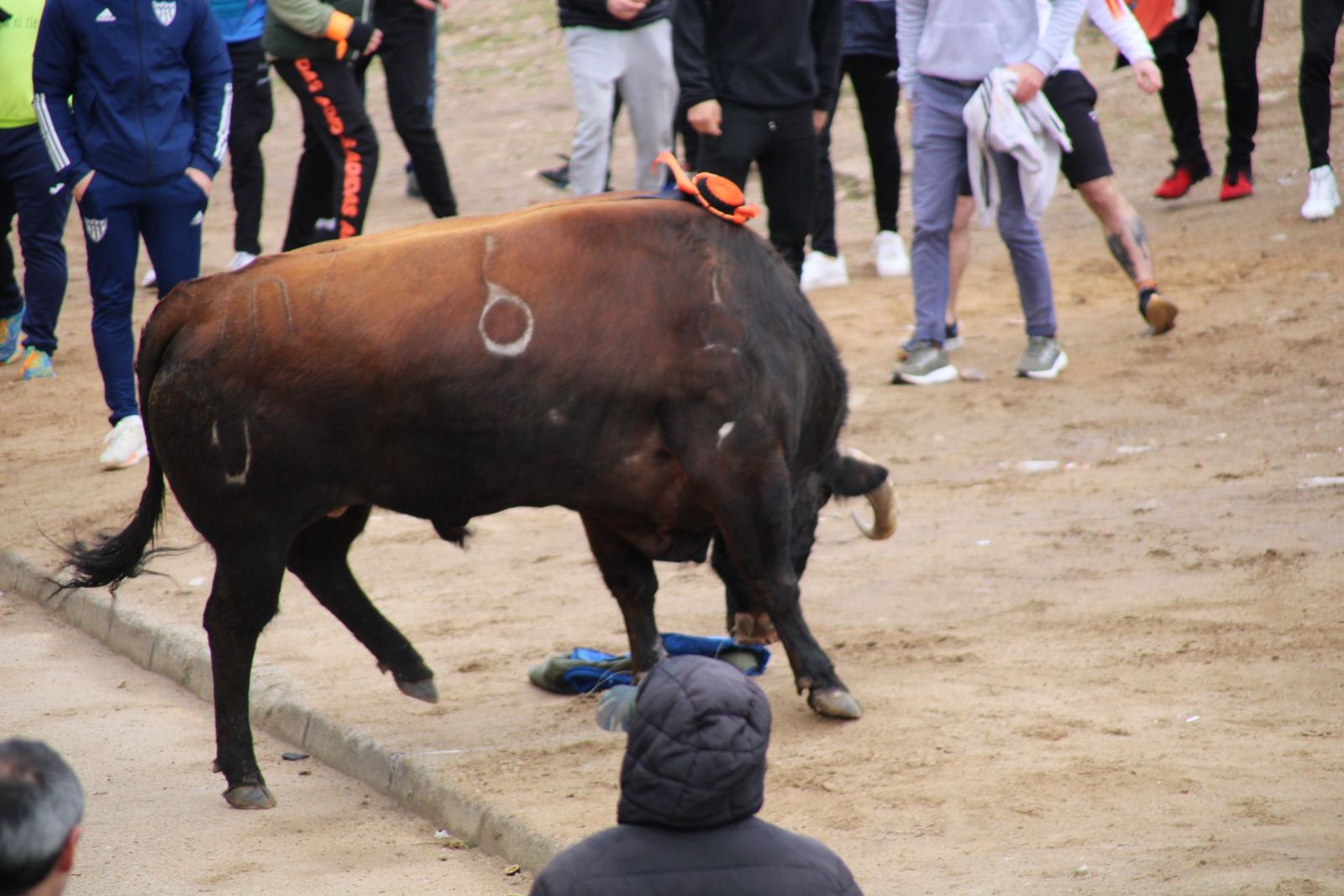 whatsapp-image-2025-03-01-at-11-56-27-1