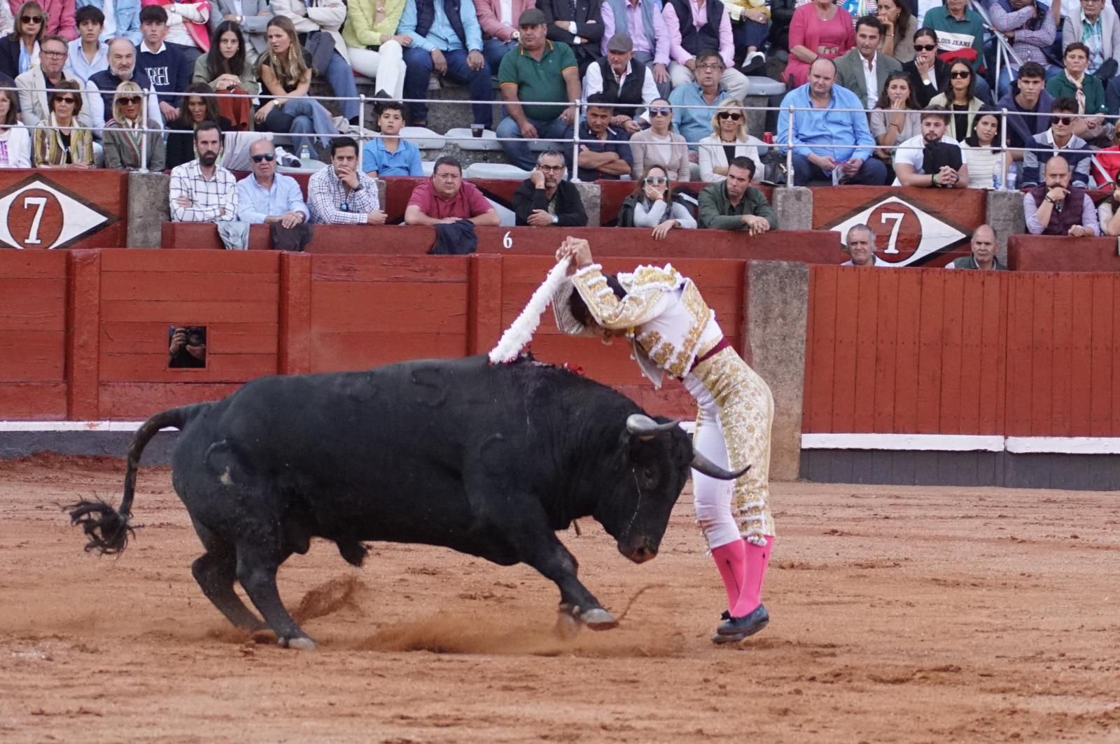 corrida-concurso-momentos-mas-destacados-del-ultimo-festejo-de-abono-de-la-feria-taurina-virgen-de-la-vega-2024-fotos-carlos-h-g-y-juanes-5