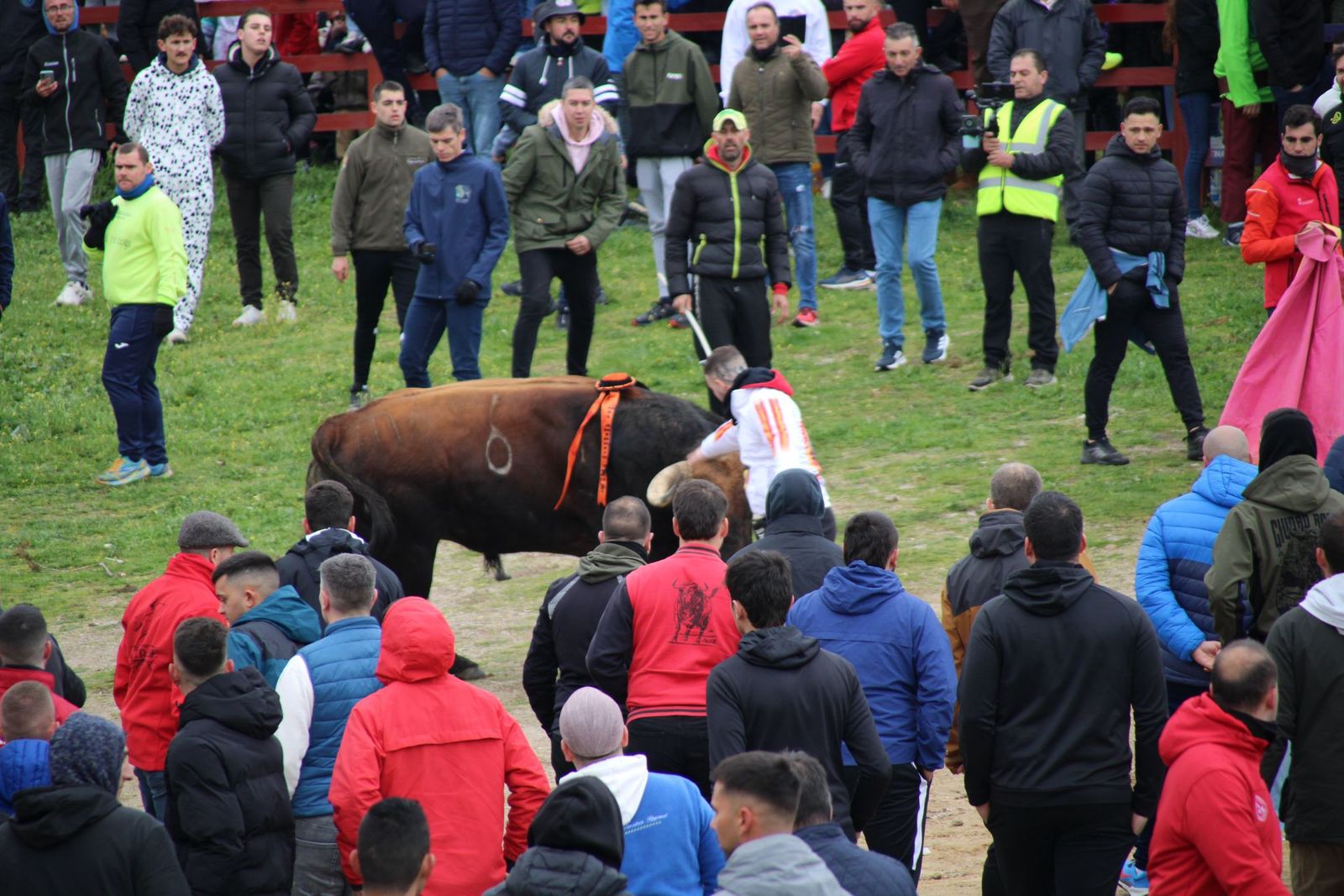 whatsapp-image-2025-03-01-at-11-56-30