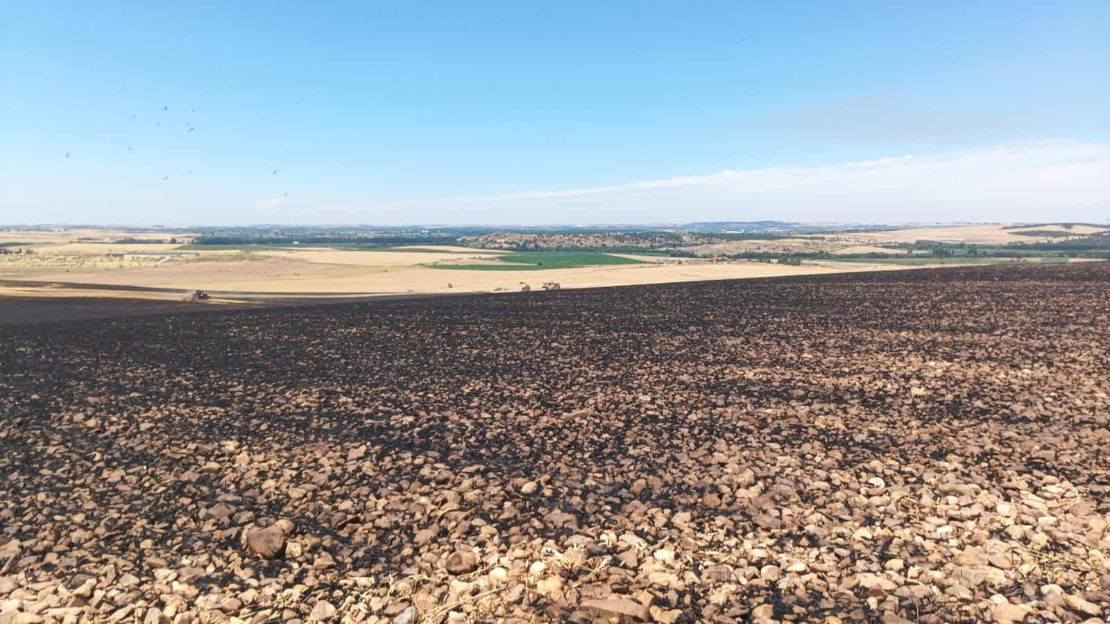 Un incendio forestal en Amatos de Alba moviliza a medios aéreos y terrestres
