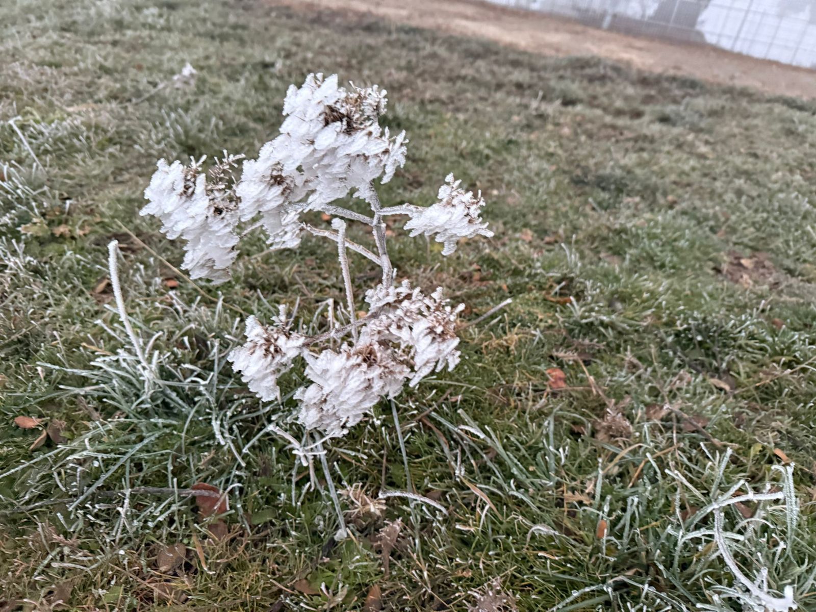 whatsapp-image-2025-01-01-at-08-53-49-2