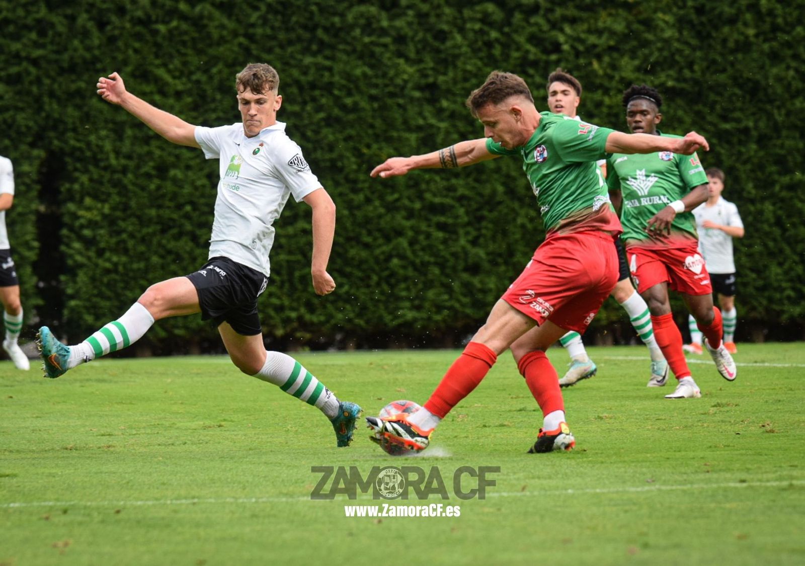 Rayo Cantabria - Zamora CF. FOTO: ZCF Rayo Cantabria - Zamora CF. FOTO: ZCF
