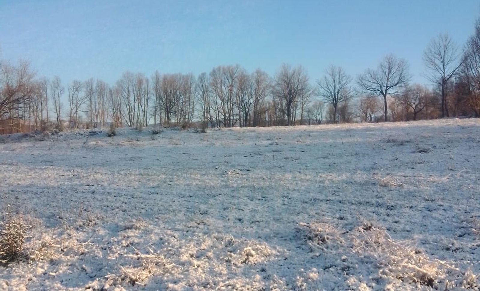 nieve-y-hielo-en-sanabria-12