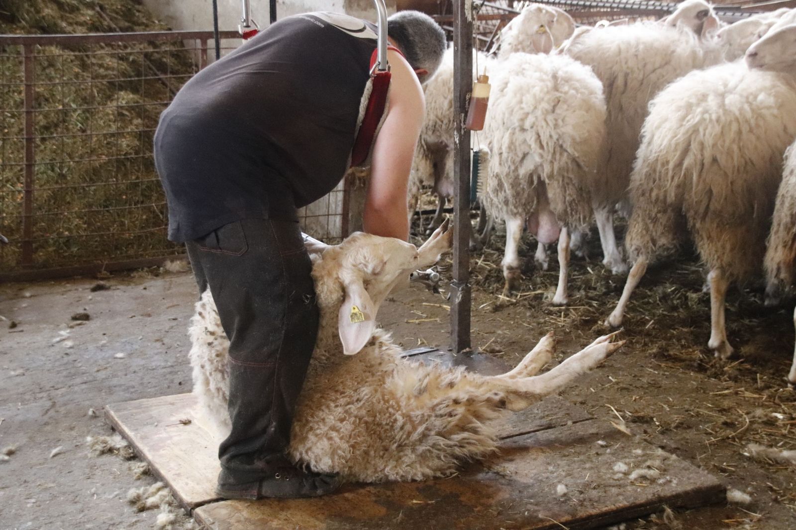 20220520102925-mg-8468