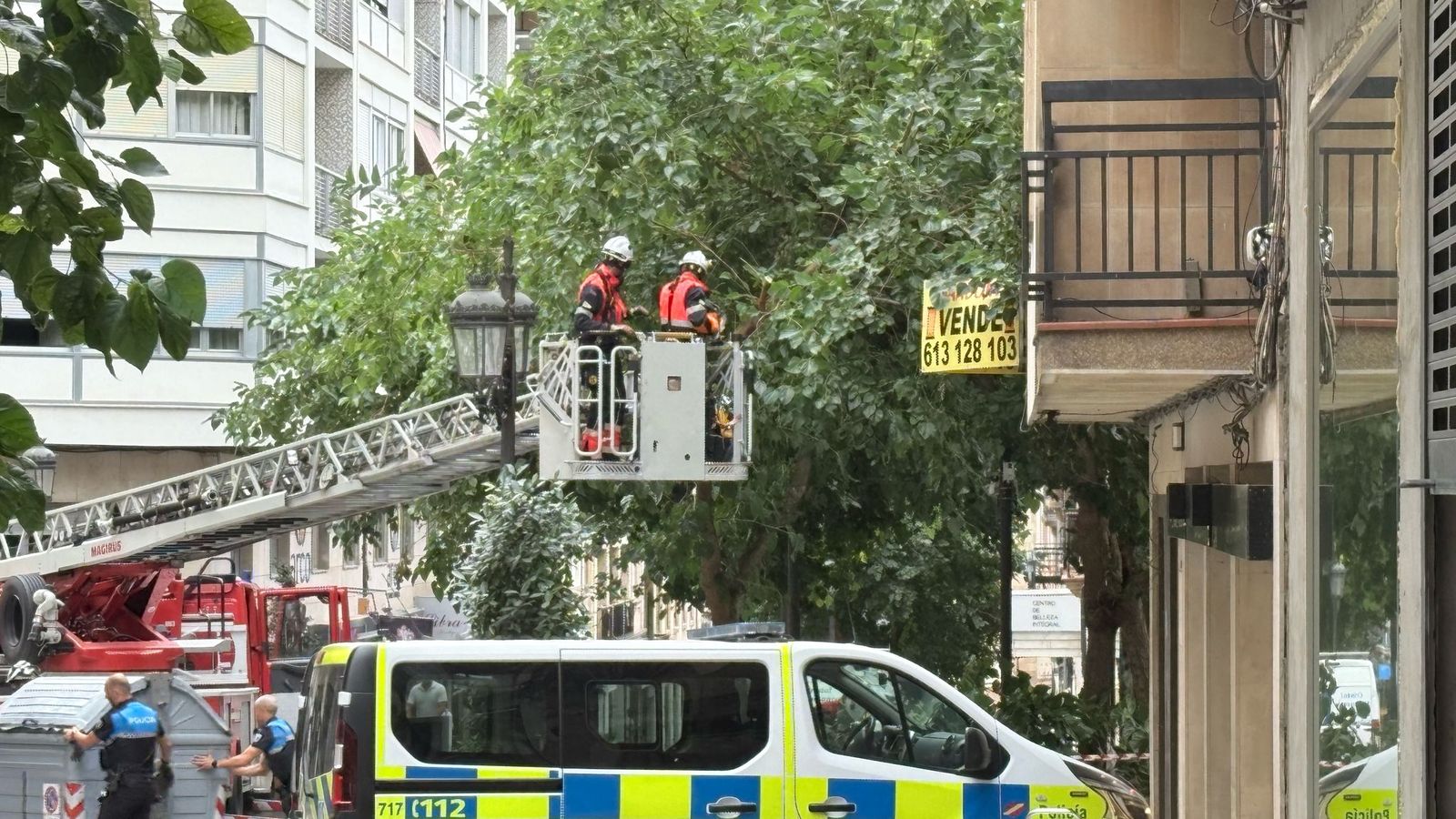 Policía Local y efectivos del Ayuntamiento de Salamanca trabajando en la caída de la rama del árbol
