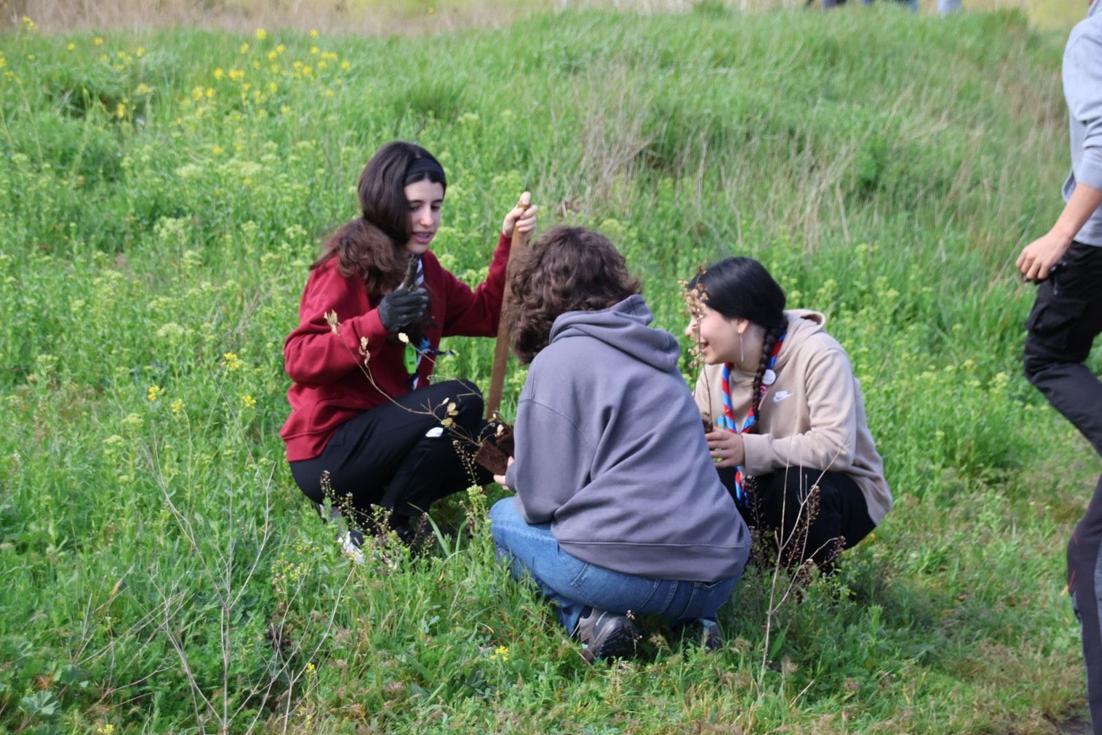 20240407111655-img-6919