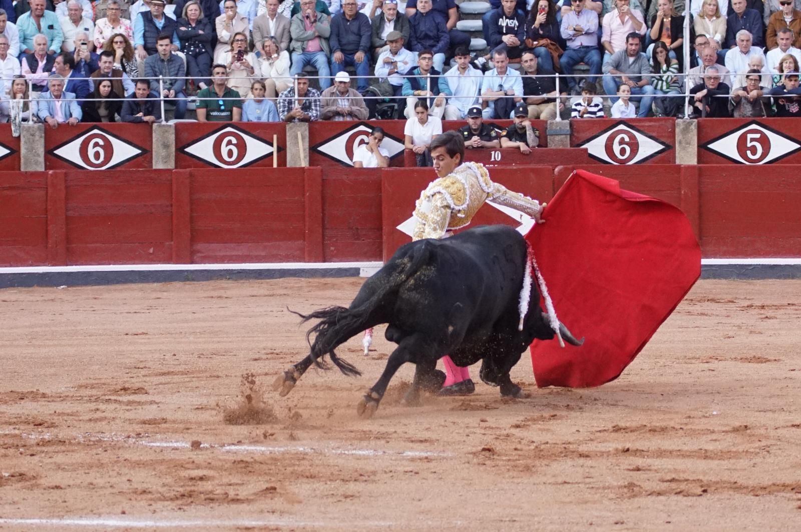 corrida-concurso-momentos-mas-destacados-del-ultimo-festejo-de-abono-de-la-feria-taurina-virgen-de-la-vega-2024-fotos-carlos-h-g-y-juanes-6