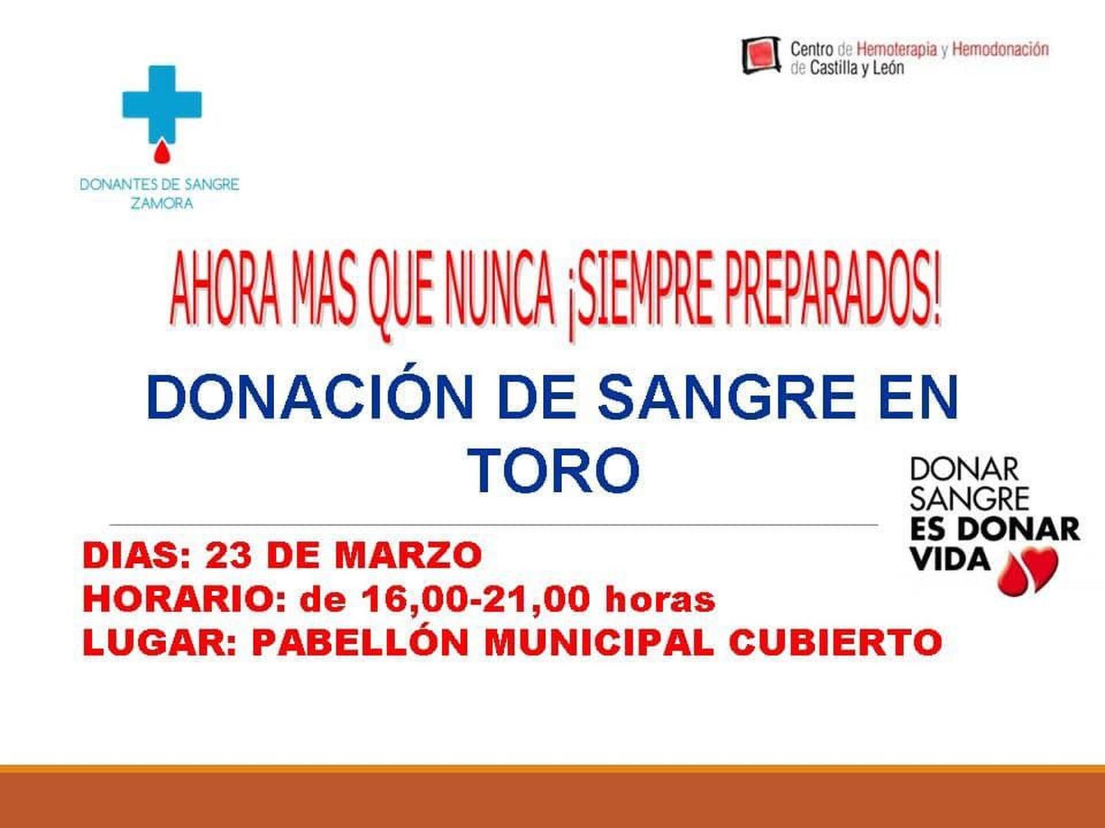 90834253 1392167747620500 4052955191769563136 n