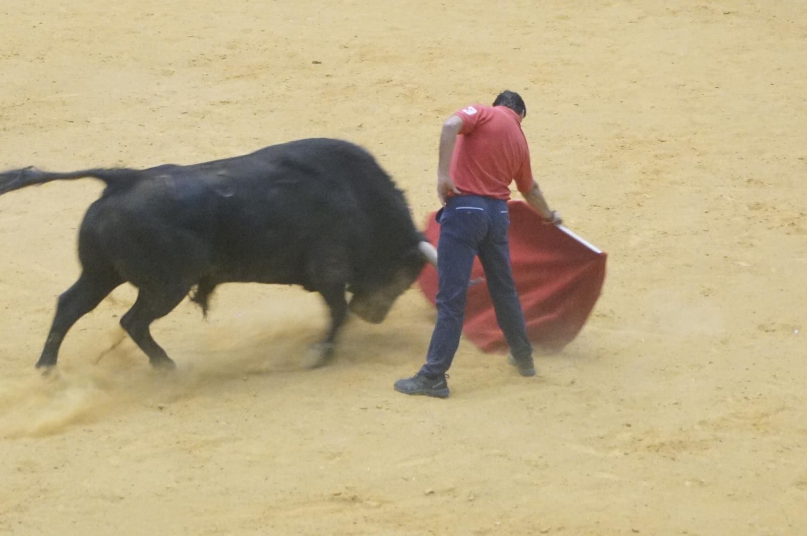 Toro del cajón y capea en Alba de Tormes