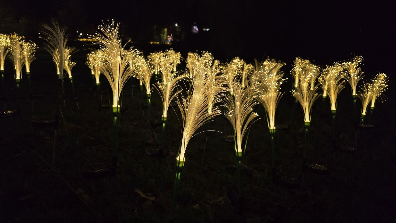 Inauguración de la Navidad en Santa Marta