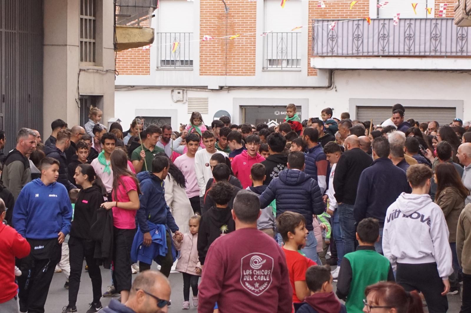 Alba de Tormes celebra un encierro, capea y encierro de minibueyes