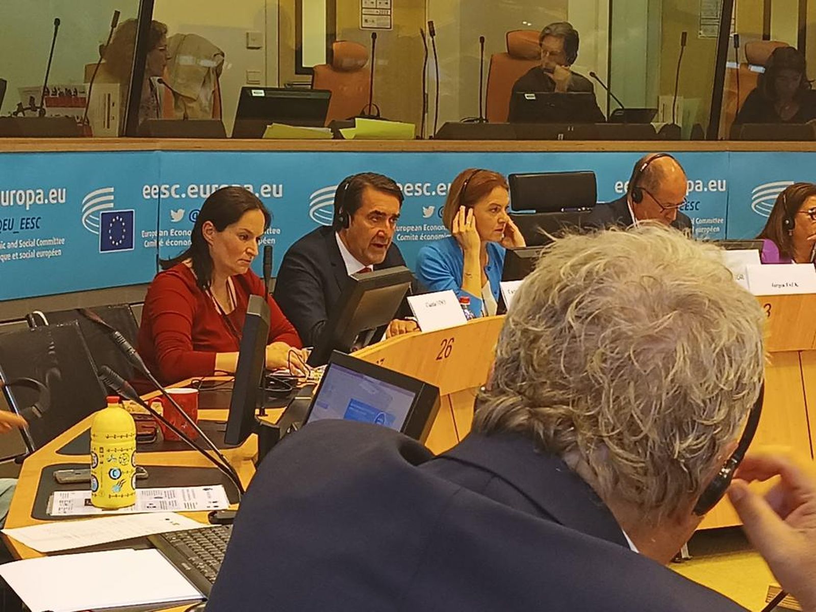 Consejo sobre el lobo