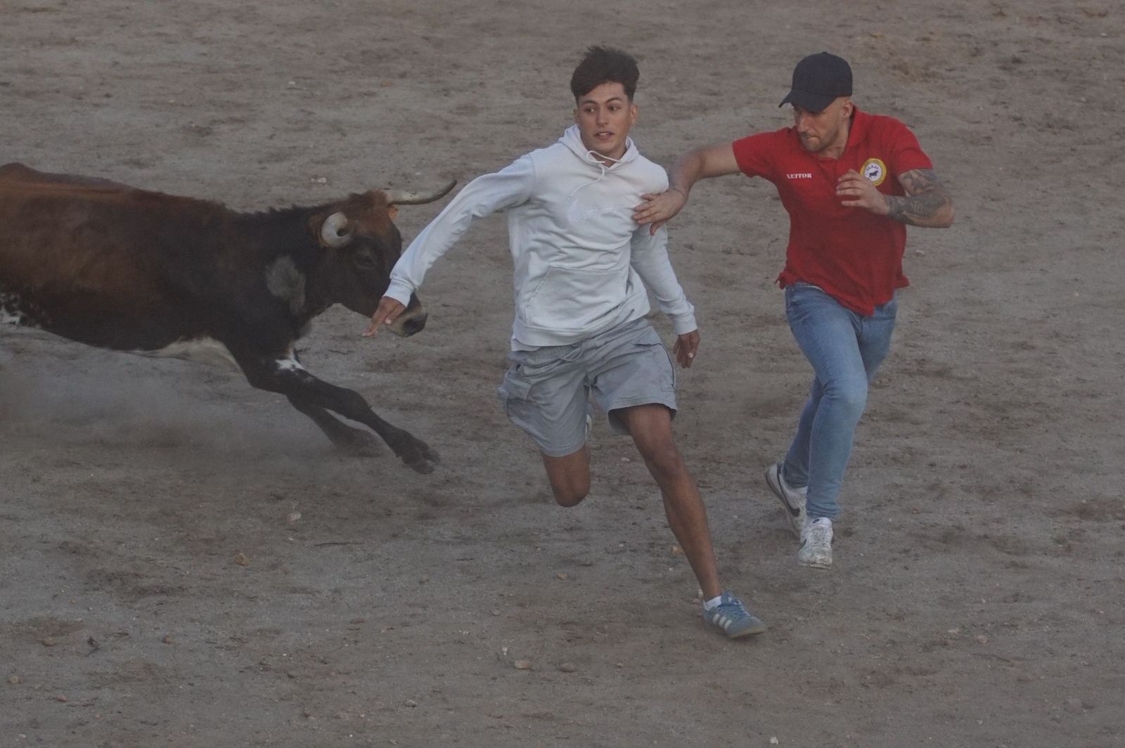 Carreras, risas y tradición: así se ha vivido El Toro en Santa Marta