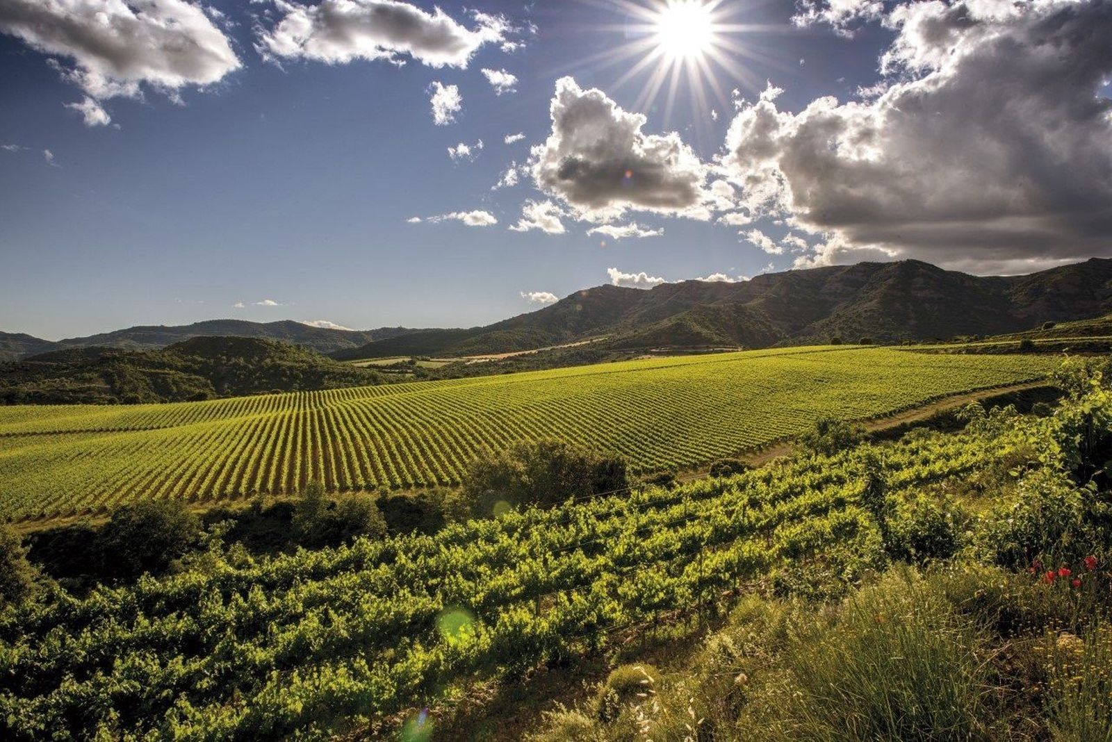 Fotonoticia 20200110142924 1920