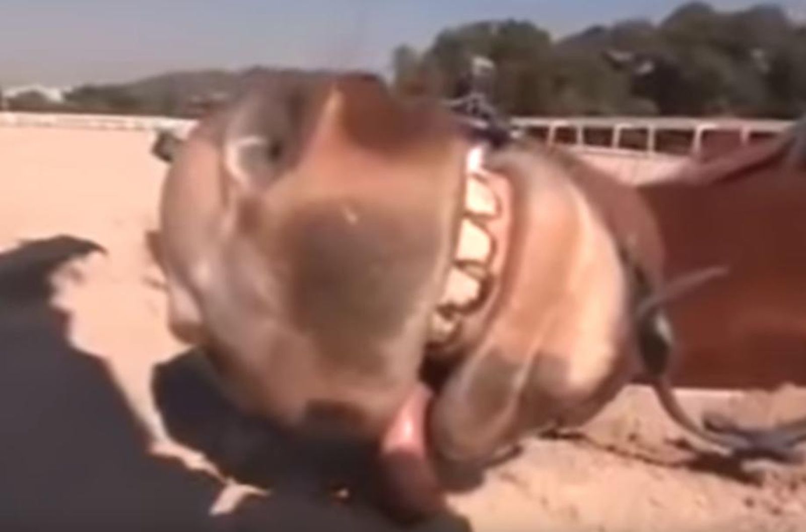 Captura de pantalla 2019 11 29 a las 13.36.19