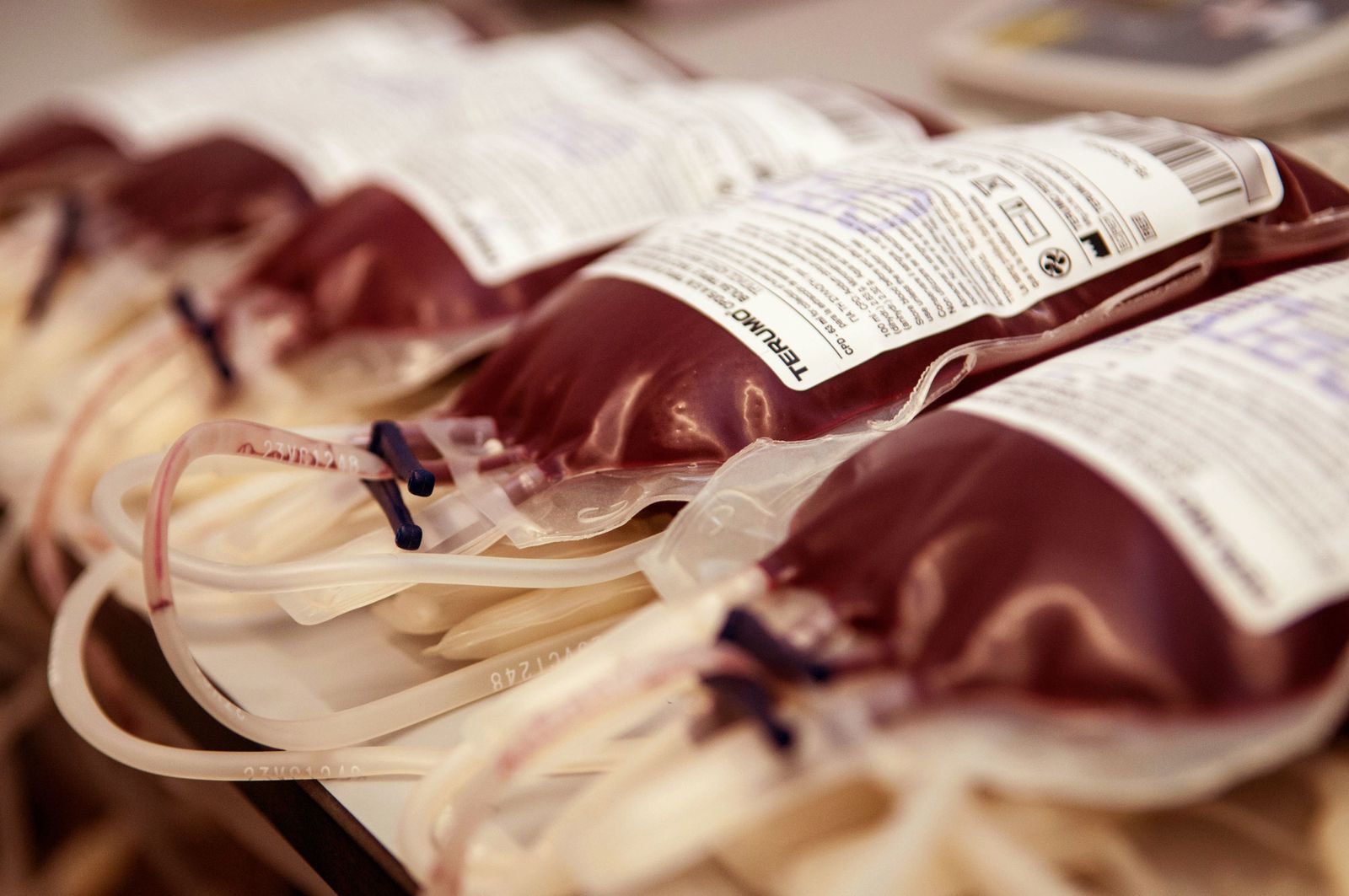 imagen archivo, banco de sangre