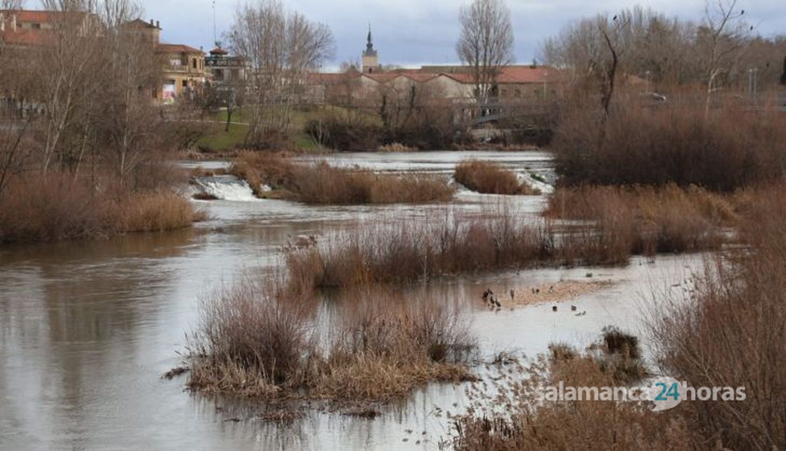 Río Tormes a su paso por Salamanca tras la 'Borrasca Irene'. Fotos Andrea M (13)