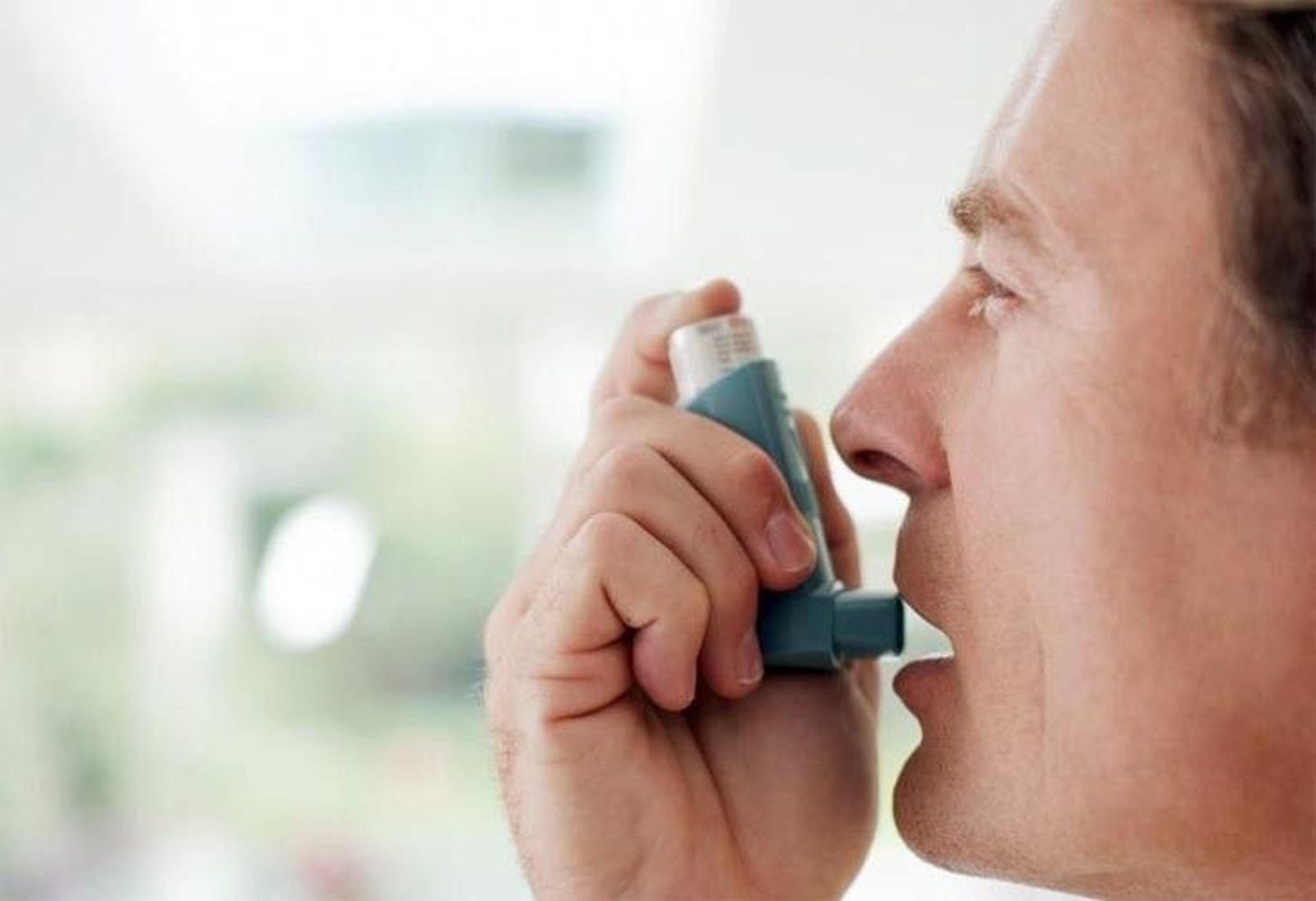 El foro de debate Asma Norte reúne en Zamora a más de 20 especialistas del noroeste de España