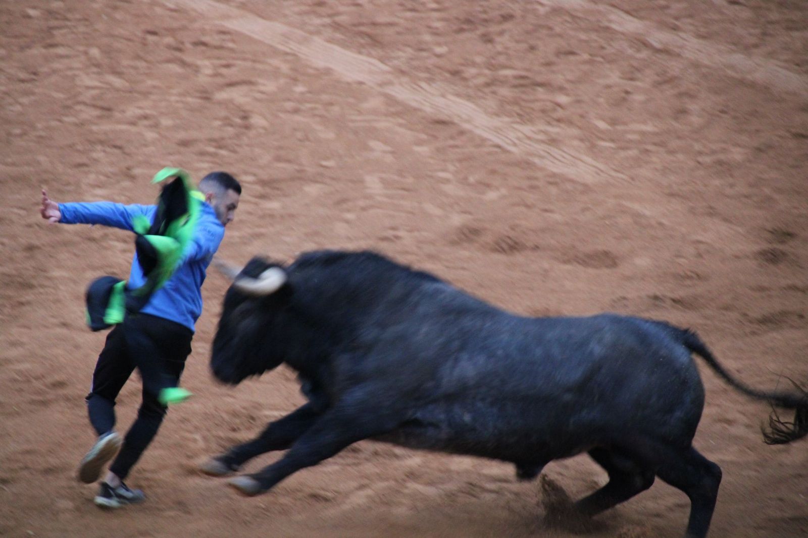 Capea domingo tarde Carnaval del Toro Ciudad Rodrigo 2025 con un astado de Víctorino Martín y de Guadajira. Foto: S24H
