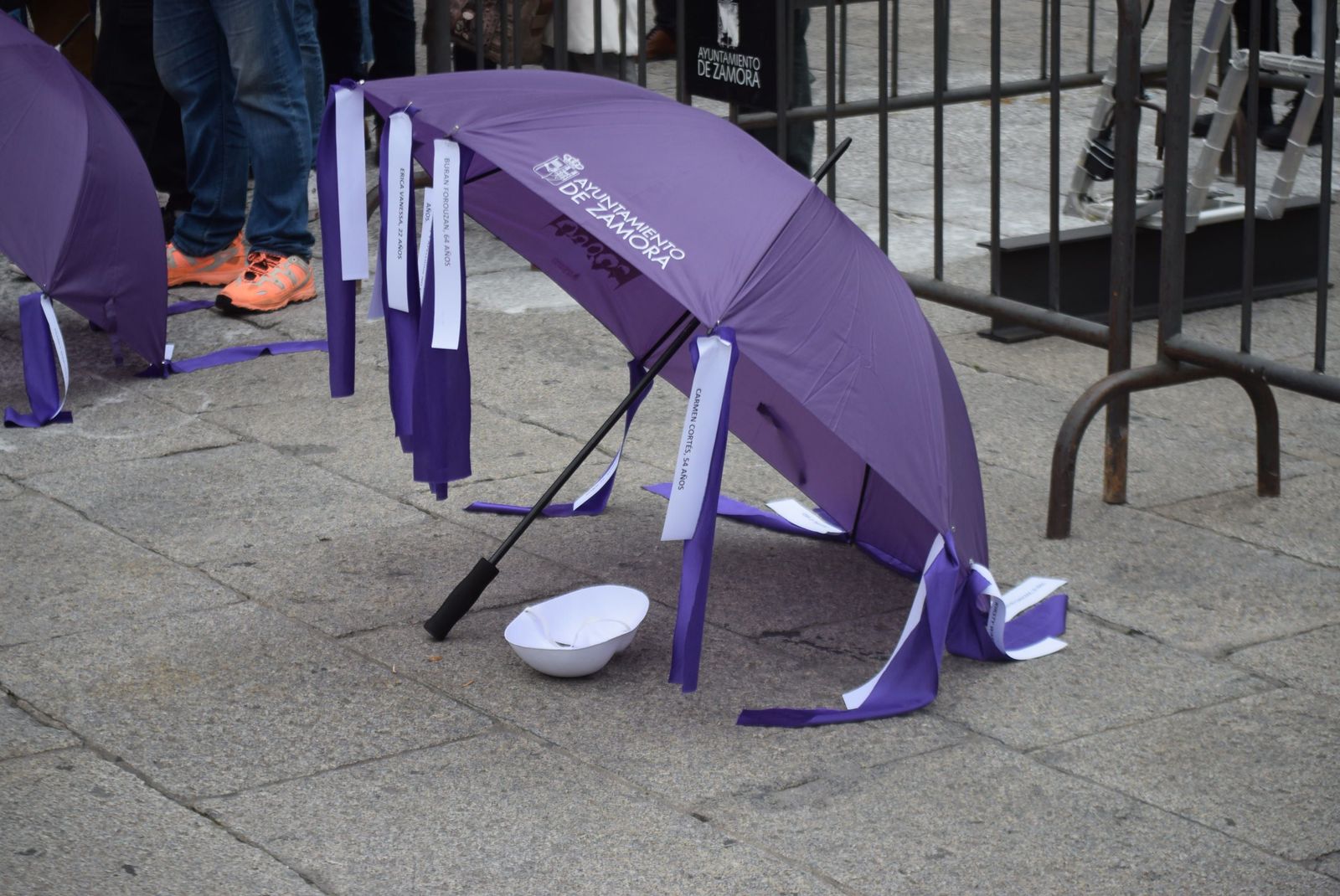 concentracion-25-n-en-zamora-11