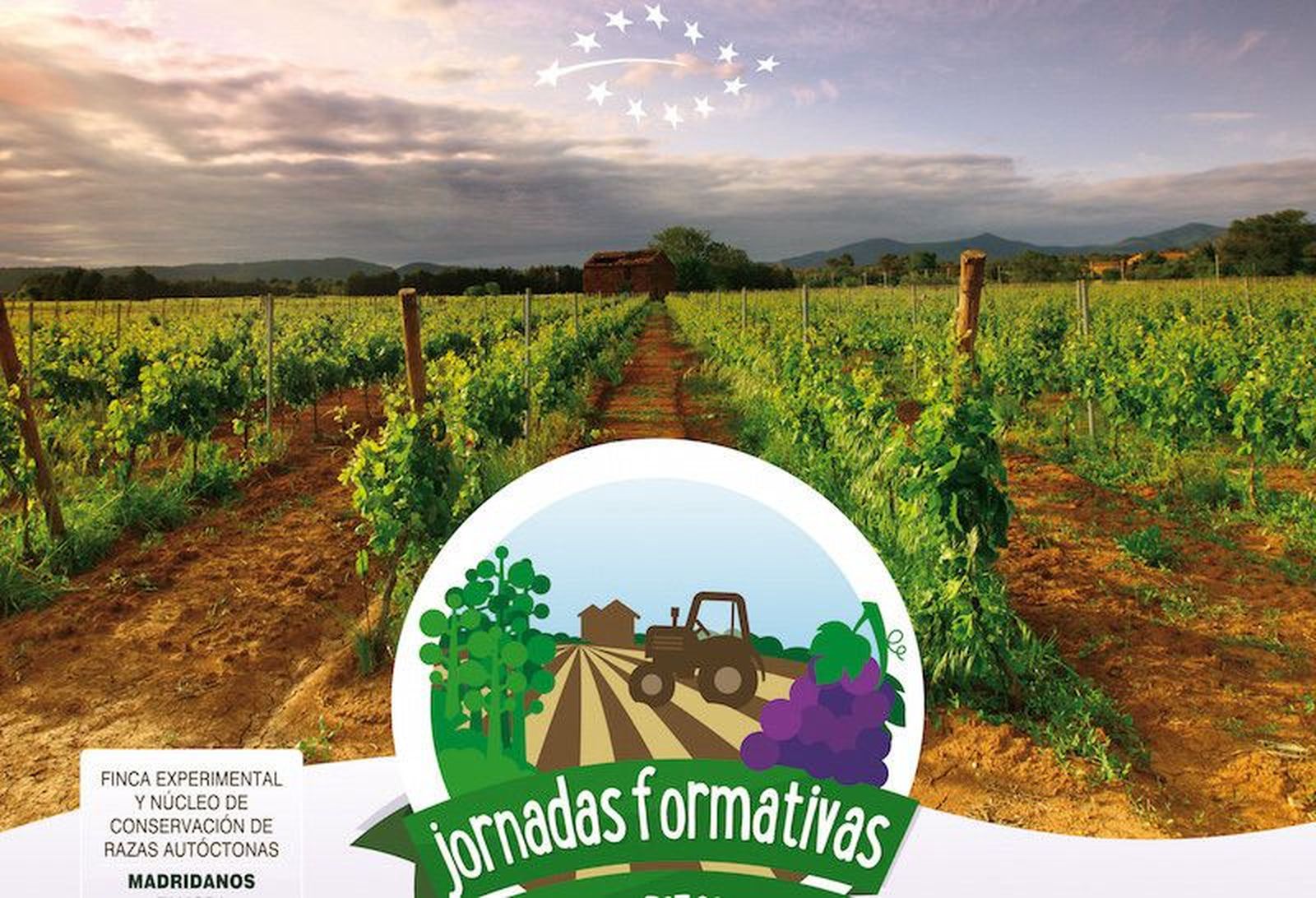 Una charla sobre hierbas silvestres inaugurará las Jornadas Ecológicas de Madridanos