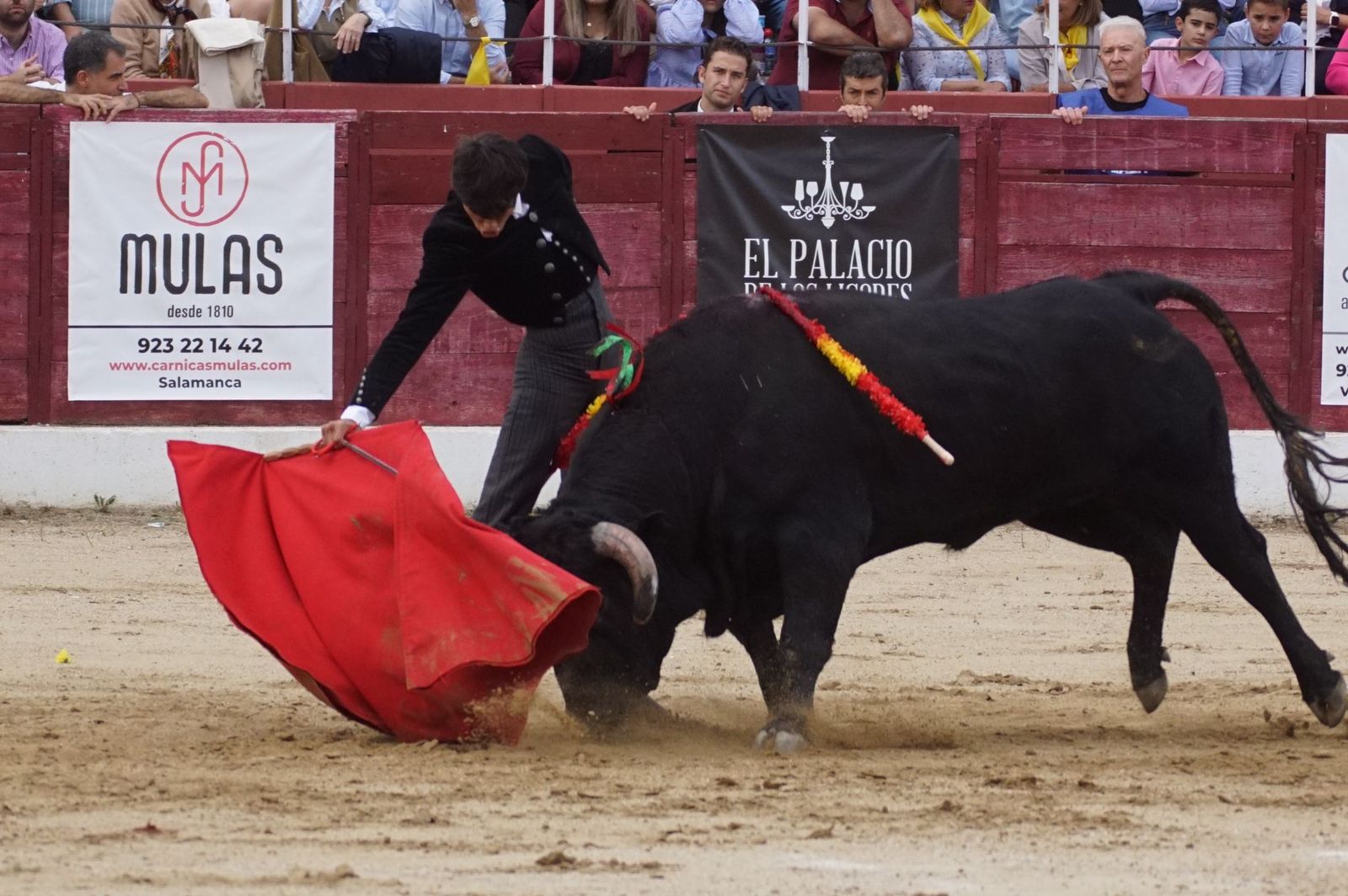 whatsapp-image-2024-10-05-at-19-56-46