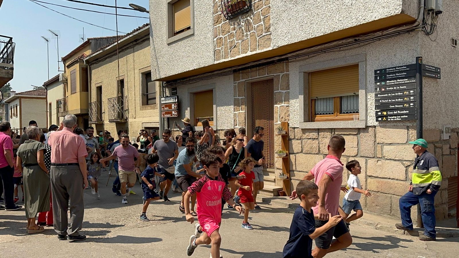 Mini bueyes en Aldeadávila