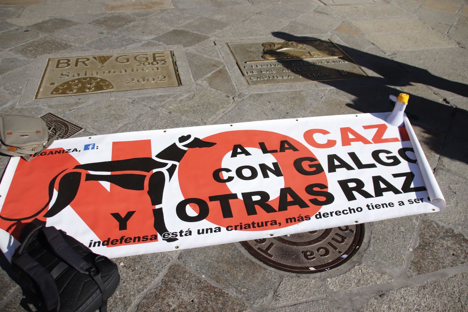 20230205121413-mg-5706