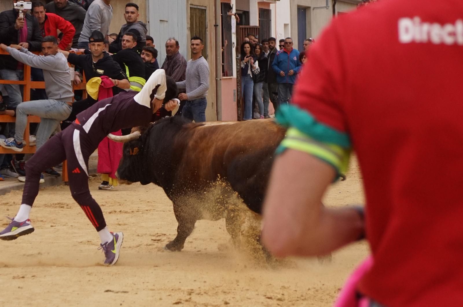 Villoria, toro del Voto