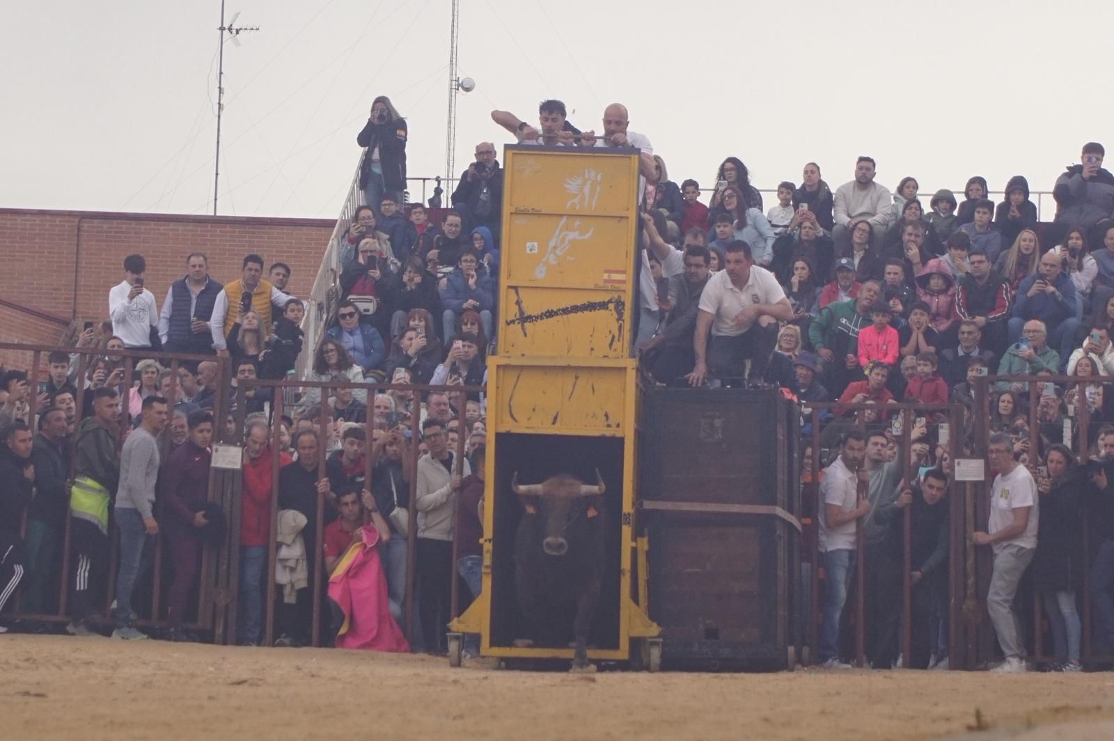 Villoria, toro del Voto
