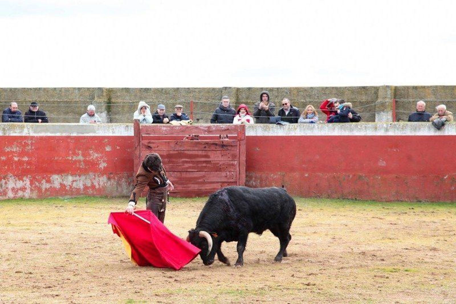 Fiesta campera en Buenamadre