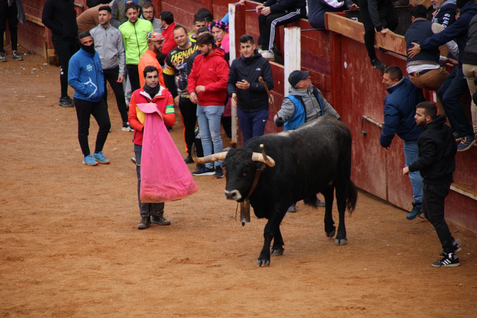 encierro-urbano-martes-de-carnaval-ciudad-rodrigo-2025-1