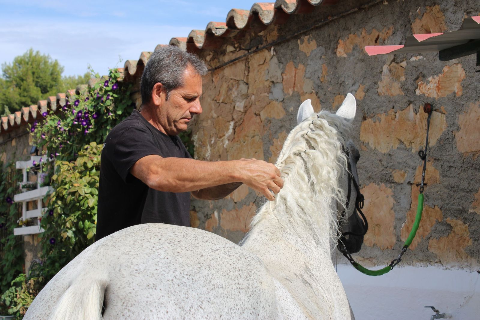 Sorteados los novillos de Montalvo para Raquel Martín y Olga Casado en el primer festejo de la feria en La Glorieta