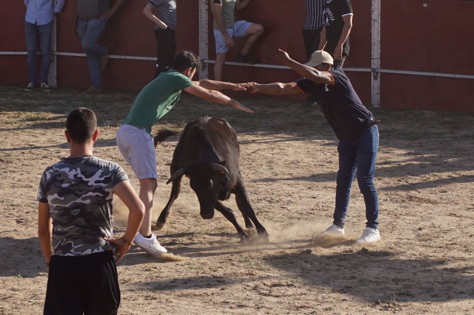 capea-fiestas-de-carrascal-de-barregas-41