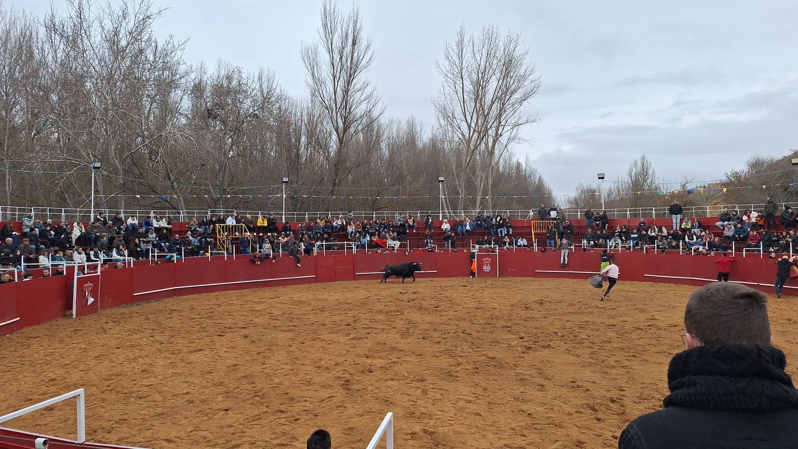 Castrogonzalo celebra por todo lo alto San Antón