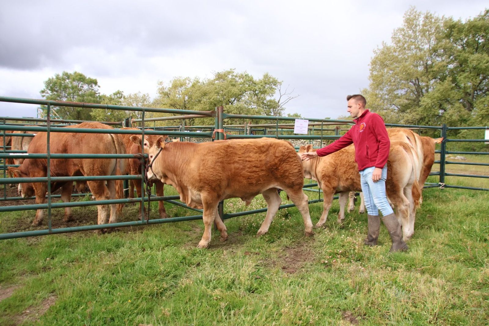 20240501104517-img-2972