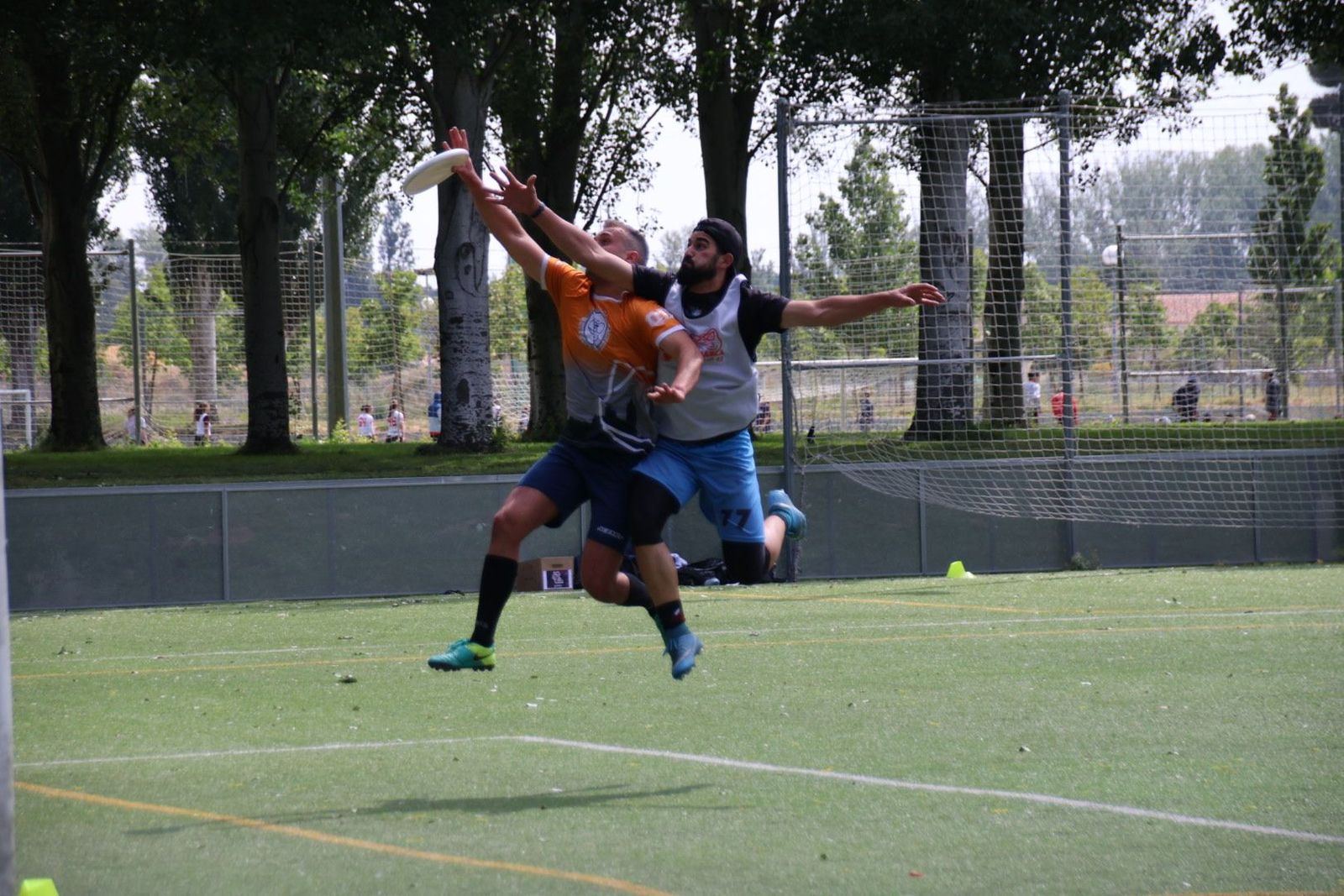 Torneo Ultimate Frisbee